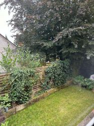 7_Garten